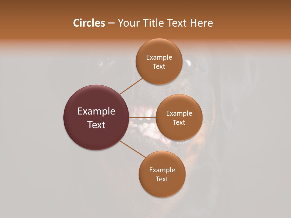 Pet Ear Aggressive PowerPoint Template