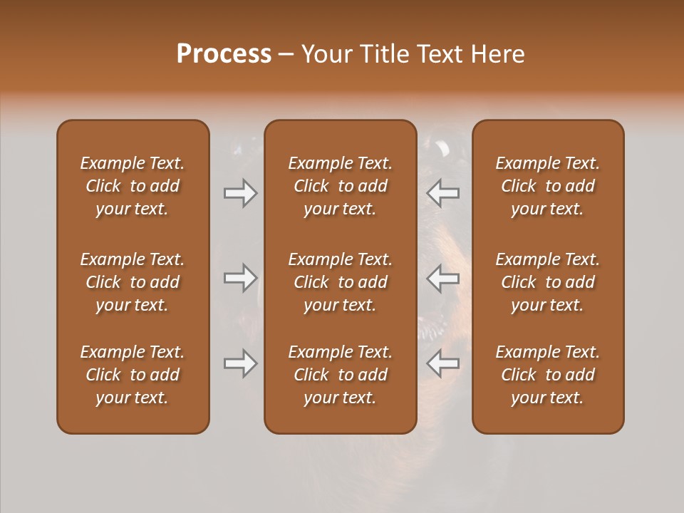Pet Ear Aggressive PowerPoint Template