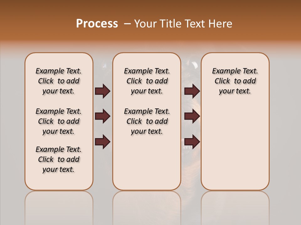 Pet Ear Aggressive PowerPoint Template