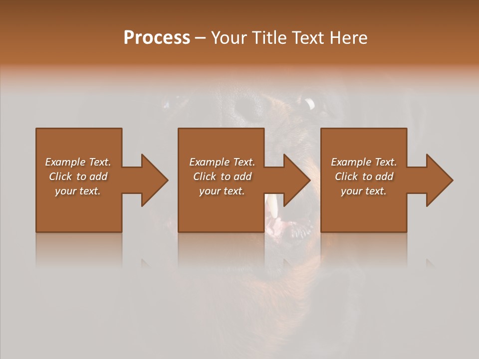 Pet Ear Aggressive PowerPoint Template