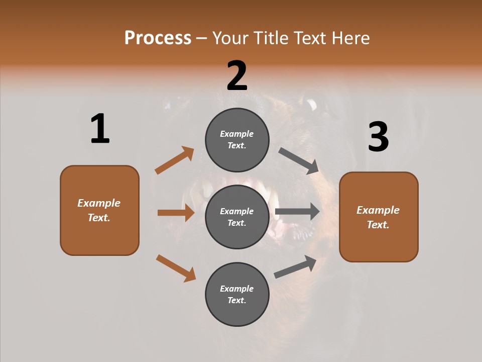 Pet Ear Aggressive PowerPoint Template