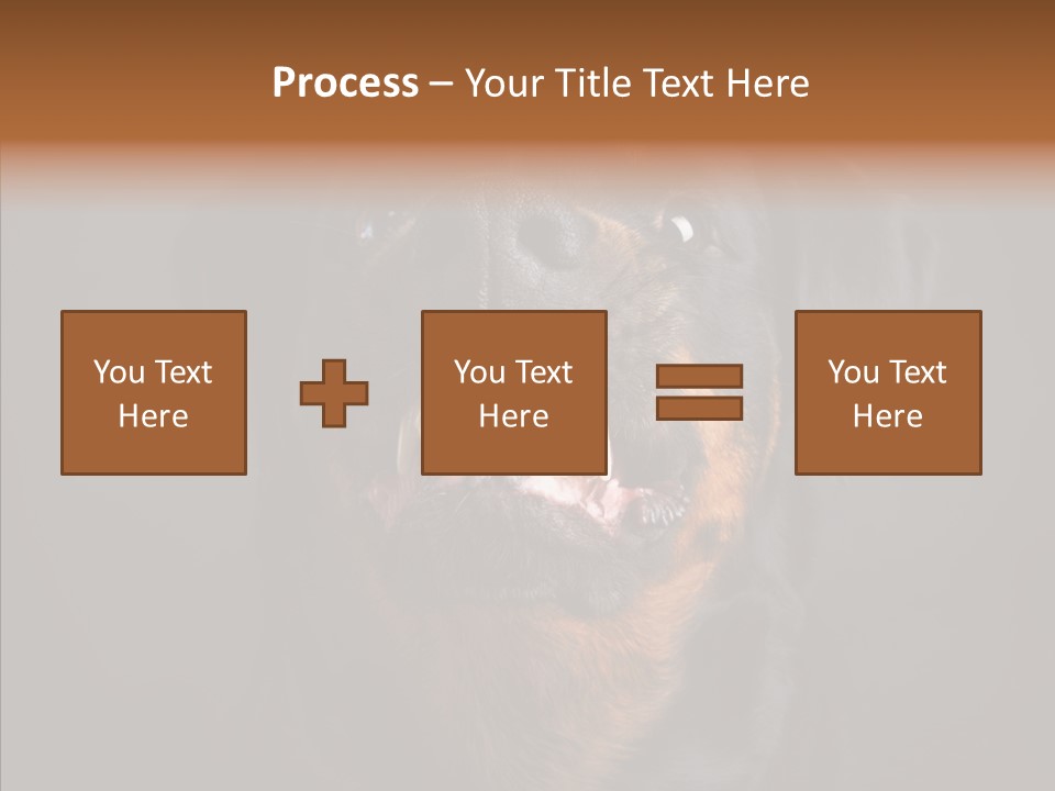 Pet Ear Aggressive PowerPoint Template