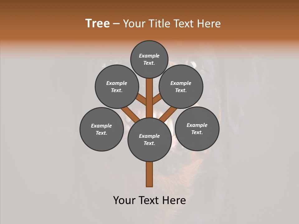 Pet Ear Aggressive PowerPoint Template