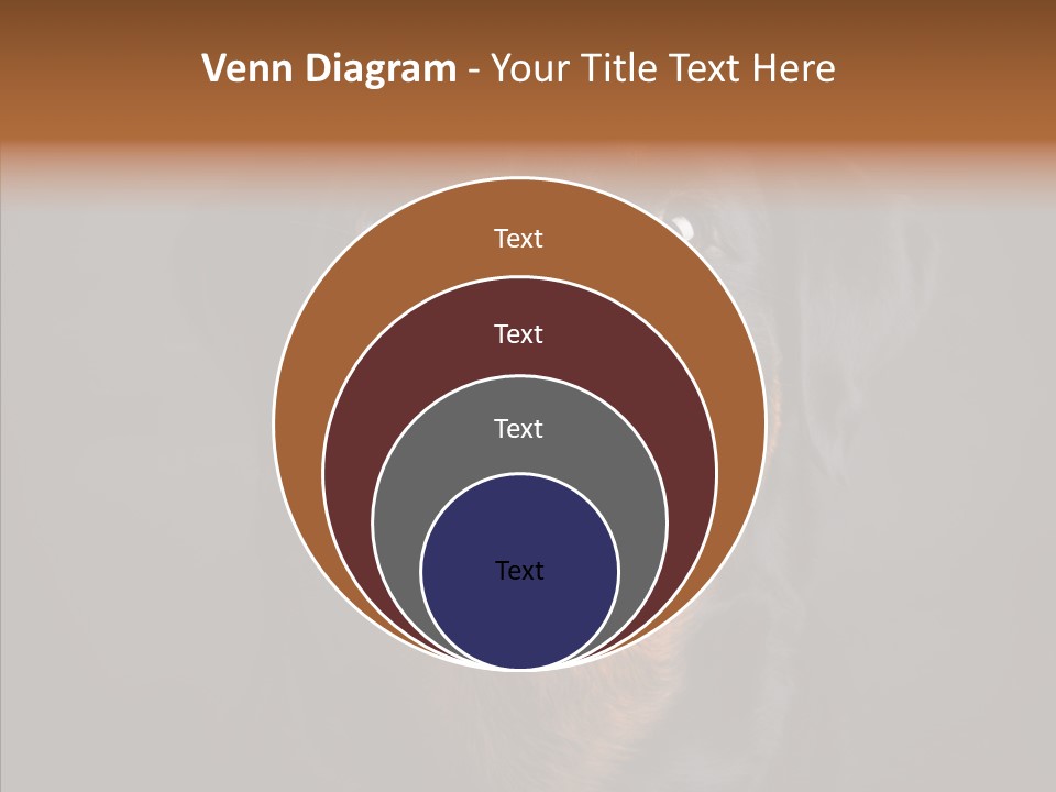 Pet Ear Aggressive PowerPoint Template