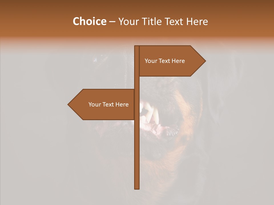 Pet Ear Aggressive PowerPoint Template