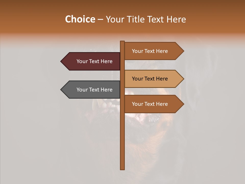 Pet Ear Aggressive PowerPoint Template