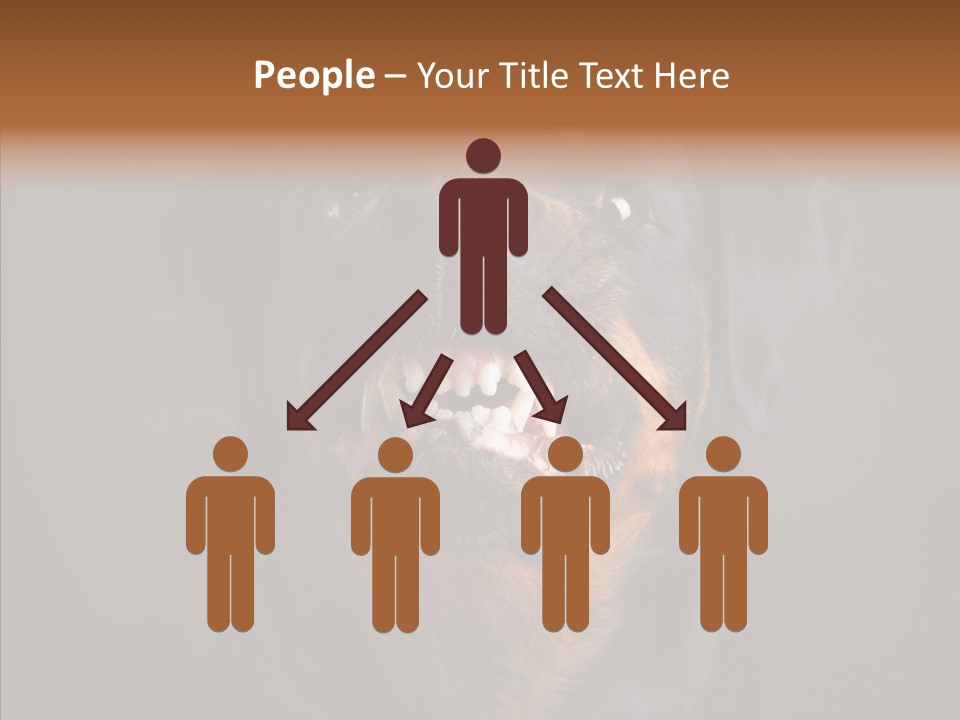 Pet Ear Aggressive PowerPoint Template