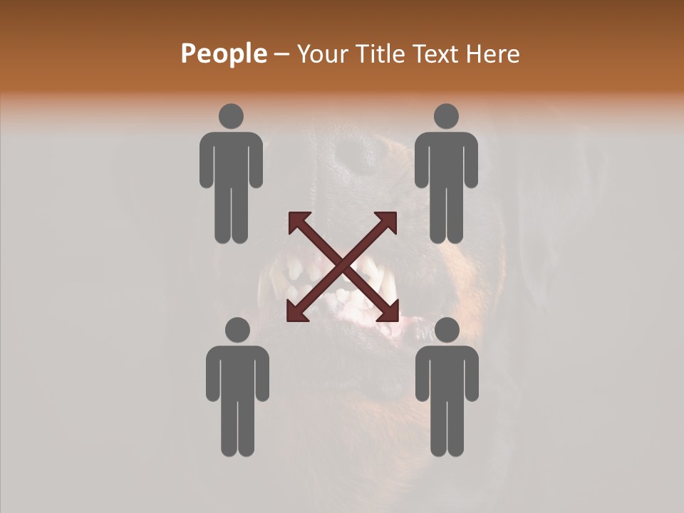 Pet Ear Aggressive PowerPoint Template