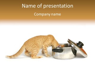 Steal Mammal Isolated PowerPoint Template