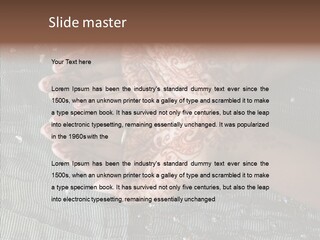 Culture Gold Art PowerPoint Template