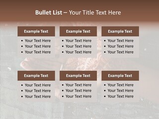 Culture Gold Art PowerPoint Template