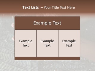 Culture Gold Art PowerPoint Template