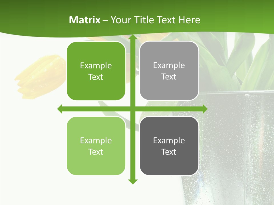 Bright Romantic Tulip PowerPoint Template