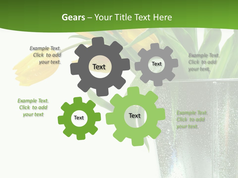 Bright Romantic Tulip PowerPoint Template