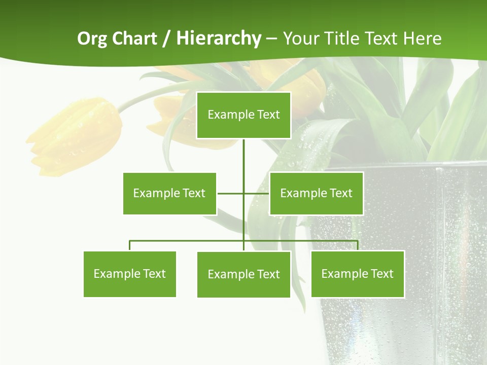 Bright Romantic Tulip PowerPoint Template