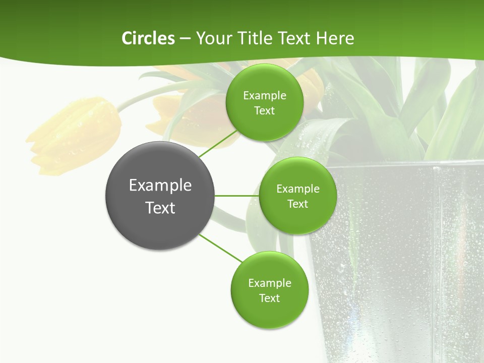 Bright Romantic Tulip PowerPoint Template