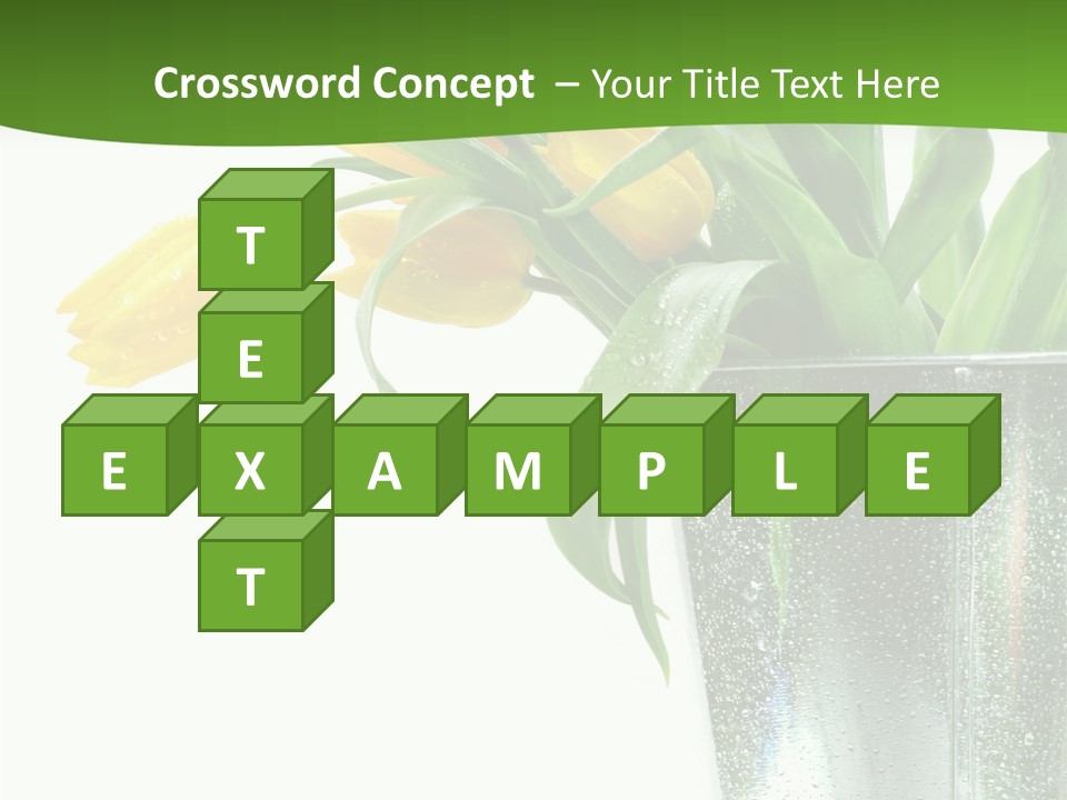 Bright Romantic Tulip PowerPoint Template