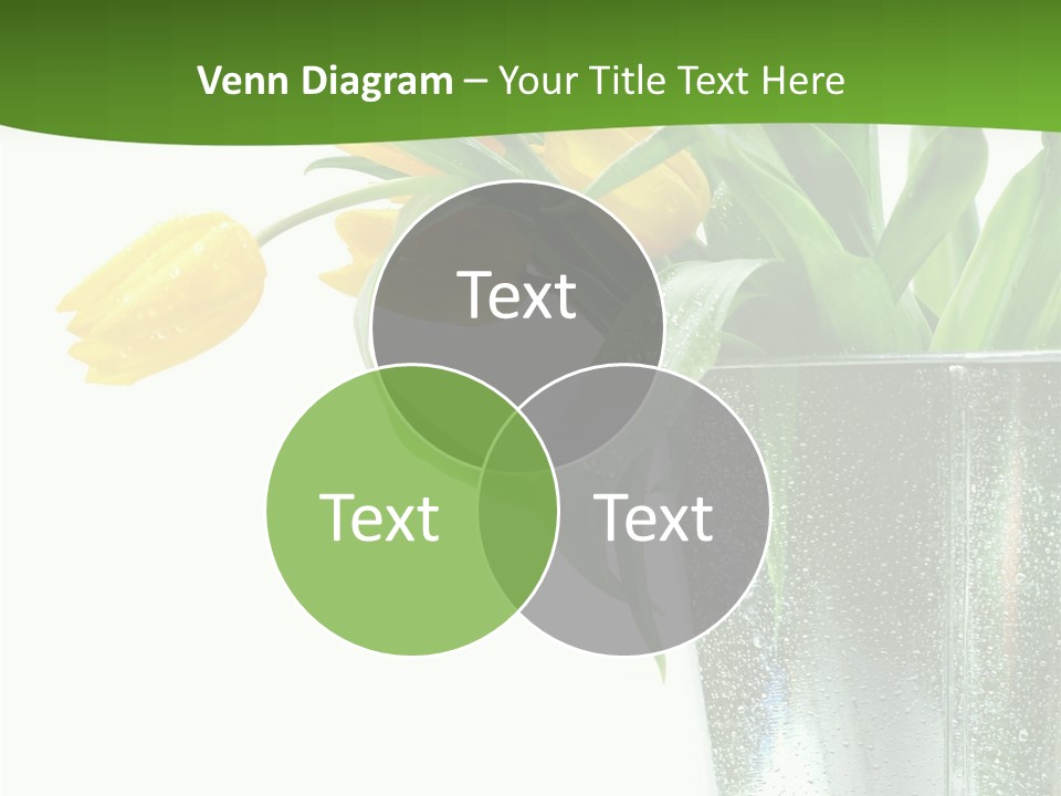 Bright Romantic Tulip PowerPoint Template