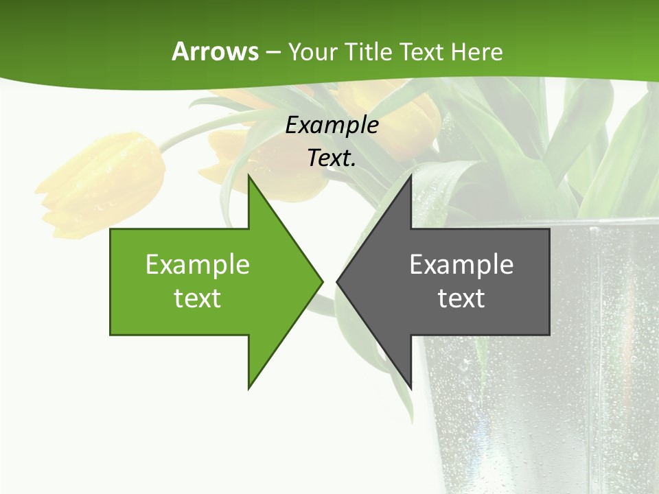 Bright Romantic Tulip PowerPoint Template