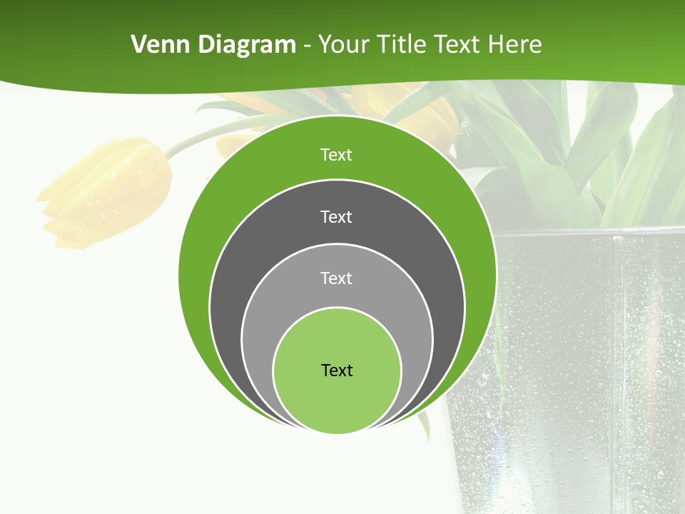 Bright Romantic Tulip PowerPoint Template