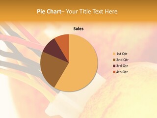 Season Energy Concepts PowerPoint Template