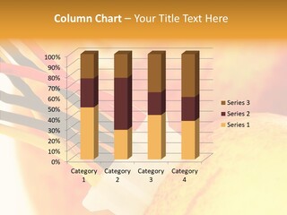 Season Energy Concepts PowerPoint Template