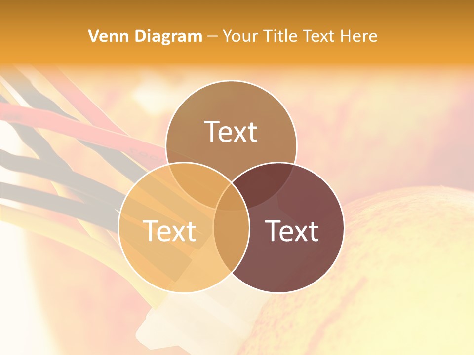 Season Energy Concepts PowerPoint Template