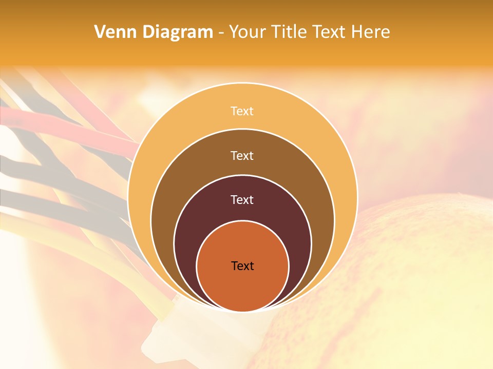 Season Energy Concepts PowerPoint Template