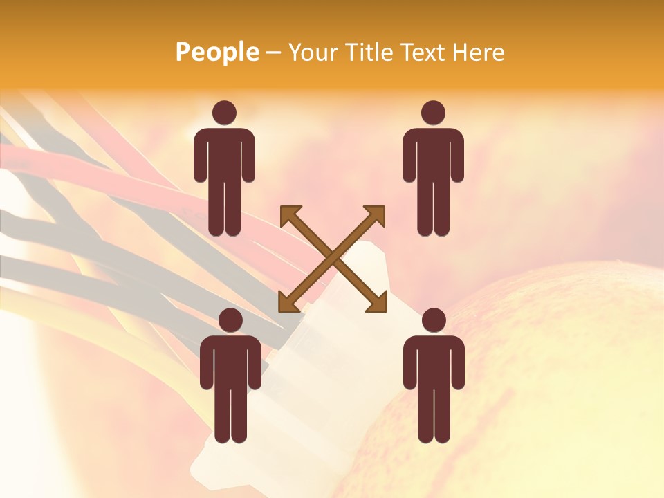 Season Energy Concepts PowerPoint Template