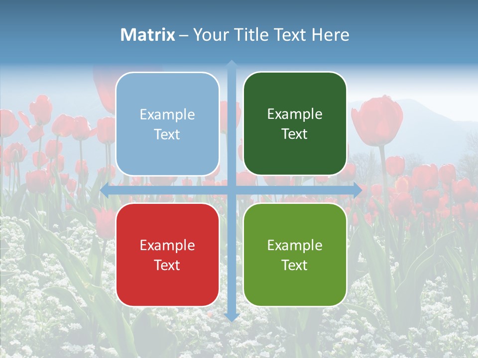 Feeling Garden Tulips PowerPoint Template