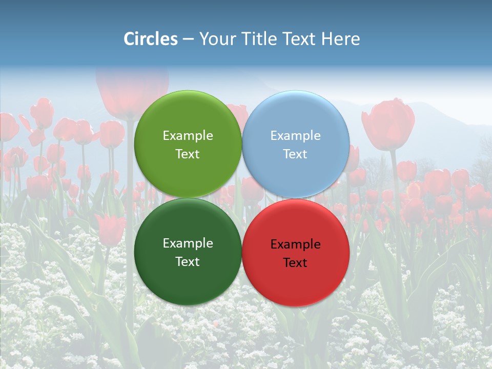 Feeling Garden Tulips PowerPoint Template