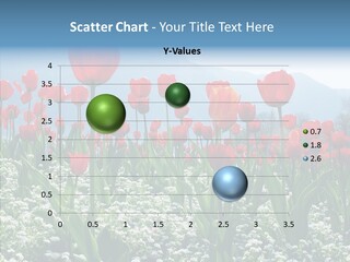 Feeling Garden Tulips PowerPoint Template