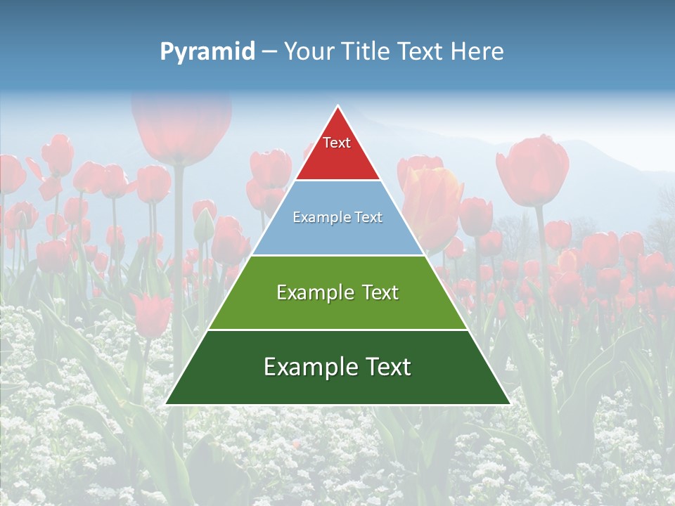 Feeling Garden Tulips PowerPoint Template