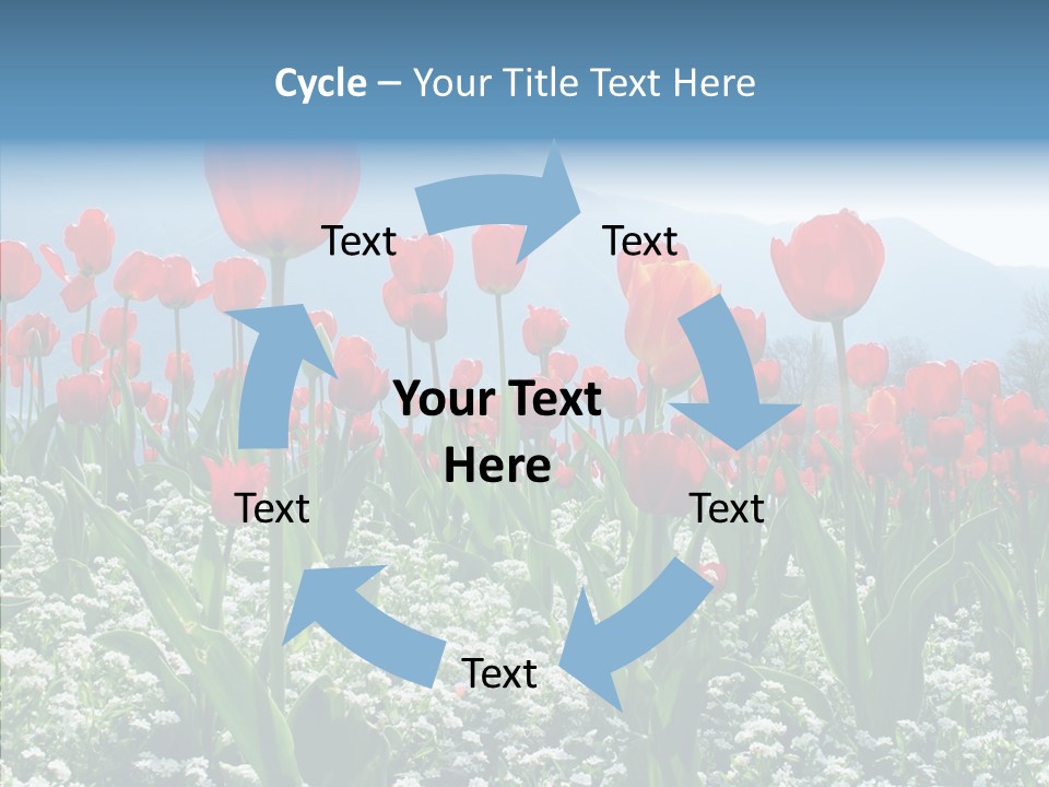 Feeling Garden Tulips PowerPoint Template
