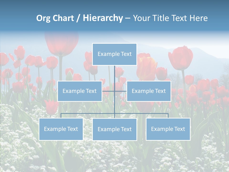 Feeling Garden Tulips PowerPoint Template