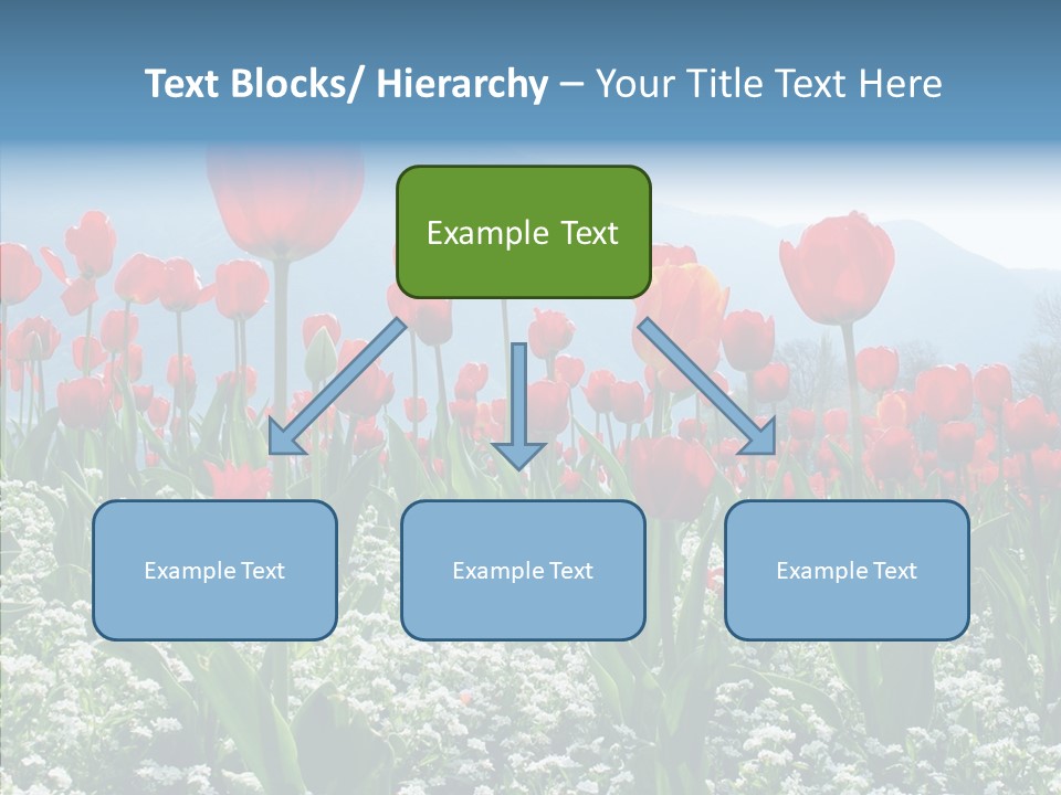 Feeling Garden Tulips PowerPoint Template