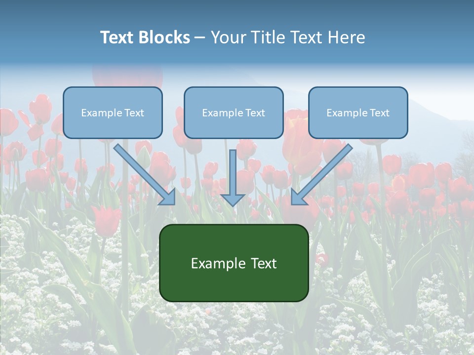 Feeling Garden Tulips PowerPoint Template