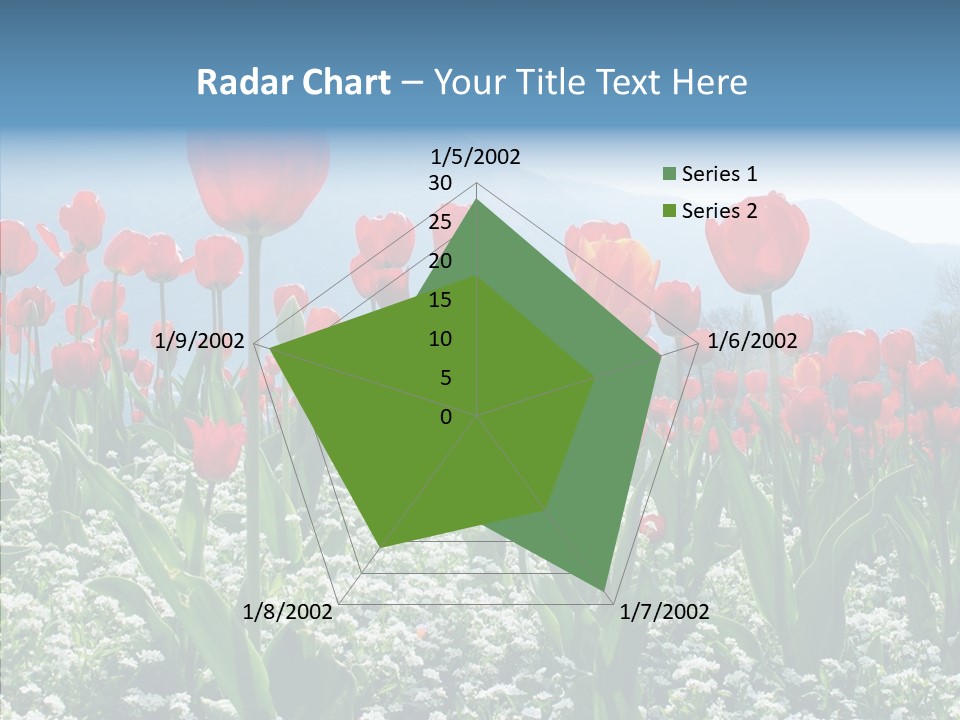 Feeling Garden Tulips PowerPoint Template