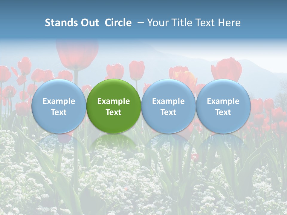 Feeling Garden Tulips PowerPoint Template