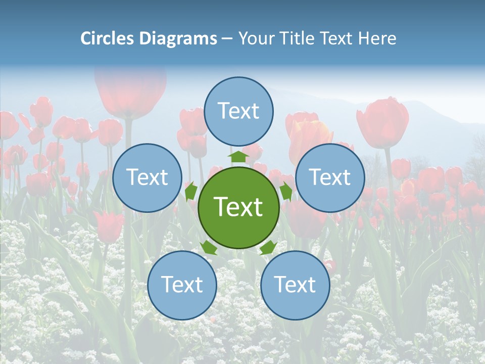 Feeling Garden Tulips PowerPoint Template