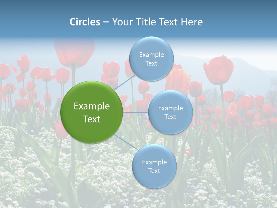 Feeling Garden Tulips PowerPoint Template