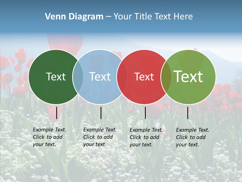 Feeling Garden Tulips PowerPoint Template