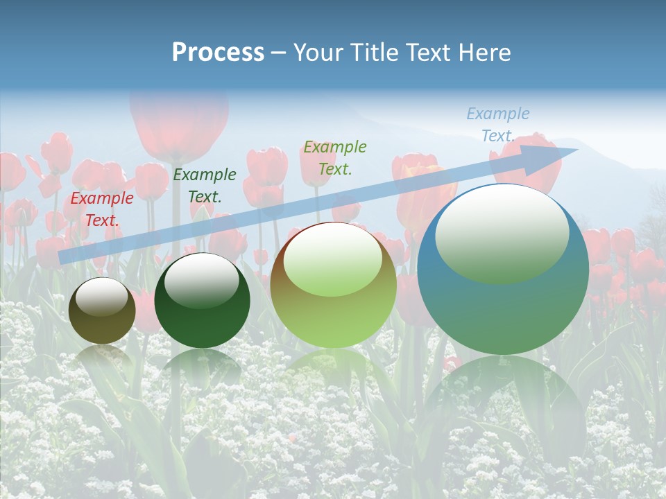 Feeling Garden Tulips PowerPoint Template