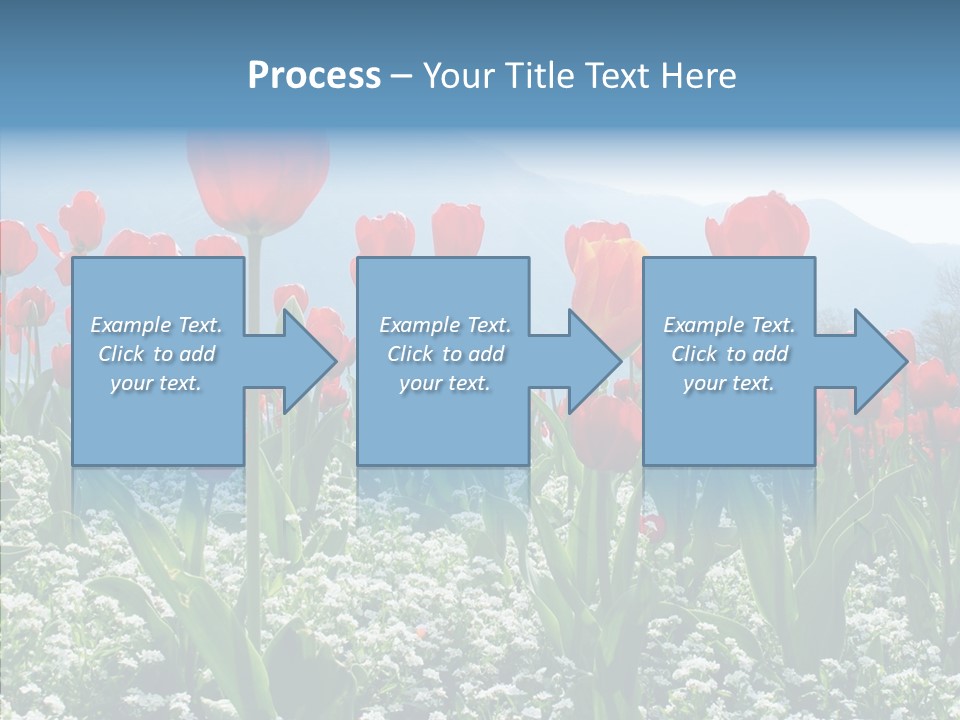 Feeling Garden Tulips PowerPoint Template