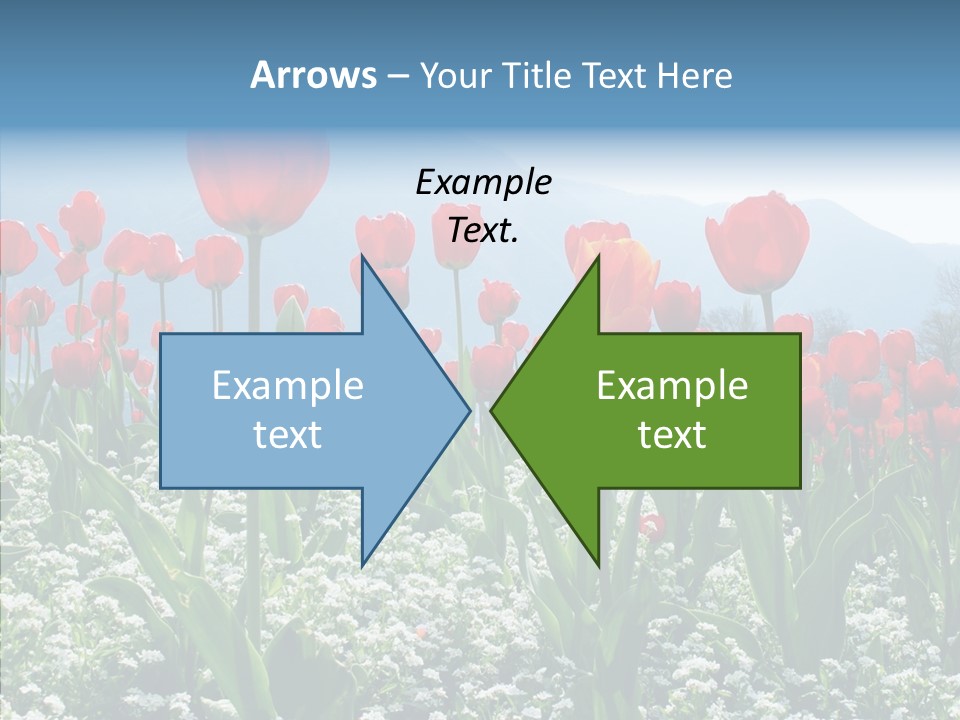 Feeling Garden Tulips PowerPoint Template