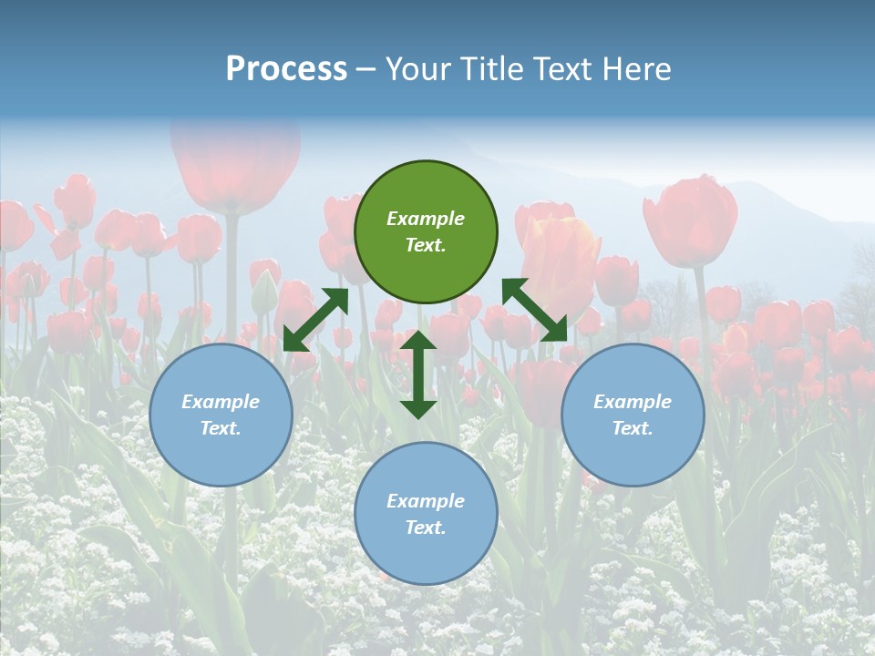 Feeling Garden Tulips PowerPoint Template