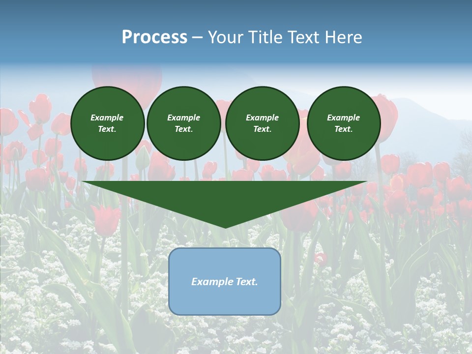 Feeling Garden Tulips PowerPoint Template