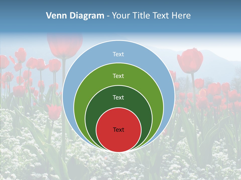 Feeling Garden Tulips PowerPoint Template