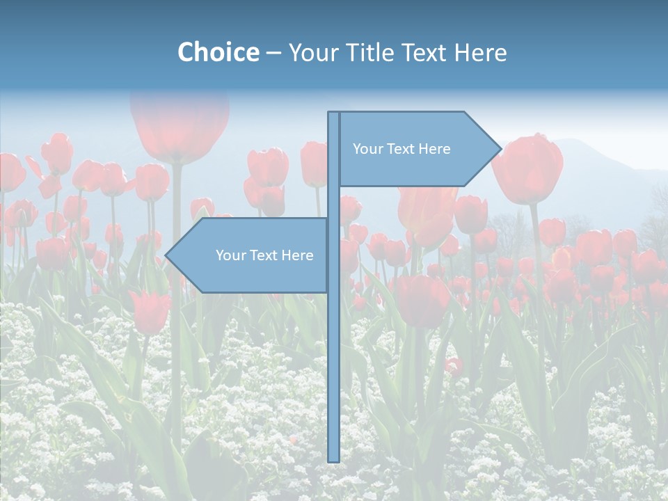 Feeling Garden Tulips PowerPoint Template