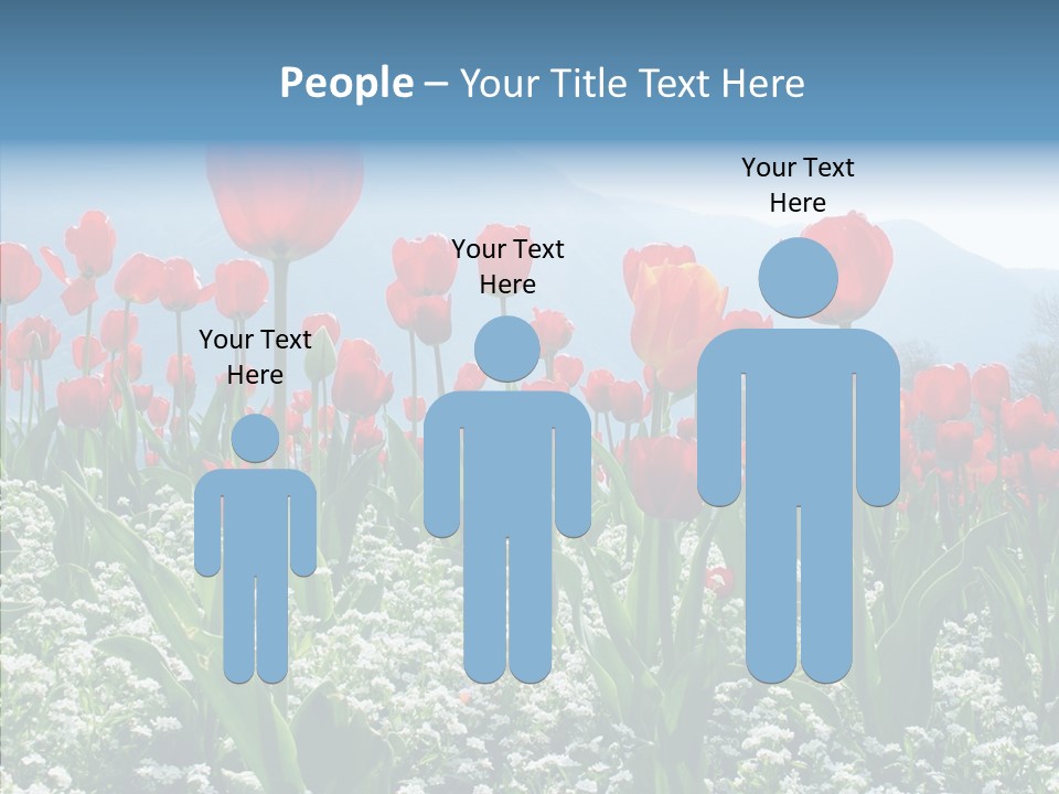 Feeling Garden Tulips PowerPoint Template